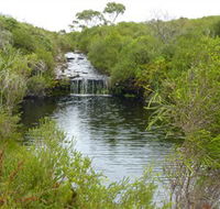 Booderee National Park Green Patch and Telegraph Creek Walking Tracks - Surfers Paradise Gold Coast