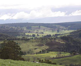 Blackwood River Tourist Drive - Surfers Paradise Gold Coast 2