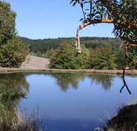 Oak Grove Walk Balingup - Surfers Paradise Gold Coast