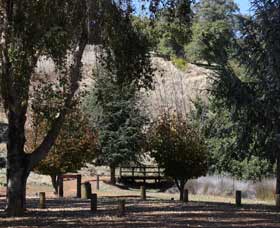 Oak Grove Walk, Balingup - Surfers Paradise Gold Coast 2
