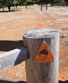 Oak Grove Walk, Balingup - Surfers Paradise Gold Coast 3