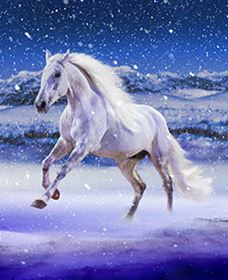 Australian Outback Spectacular: High Country Legends - Surfers Paradise Gold Coast 1