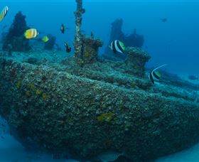 Curtain Artificial Reef Dive Site - Surfers Paradise Gold Coast 1