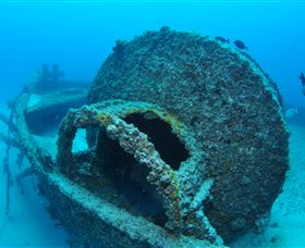 Curtain Artificial Reef Dive Site - Surfers Paradise Gold Coast 3