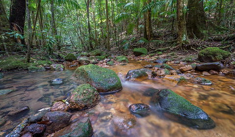 Coorabakh National Park - Surfers Paradise Gold Coast 1