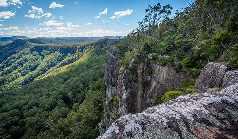 Coorabakh National Park - Surfers Paradise Gold Coast 3