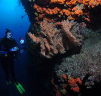 Gotham City Dive Site - Surfers Paradise Gold Coast