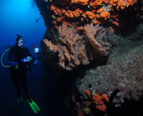 Gotham City Dive Site - Surfers Paradise Gold Coast 0