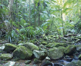 Rocky Creek Dam - Surfers Paradise Gold Coast 5