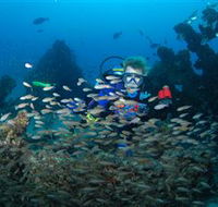 Aarhus Dive Site - Surfers Paradise Gold Coast