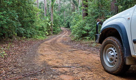 Ulidarra National Park - Surfers Paradise Gold Coast 2