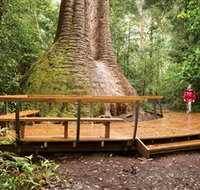 Burrawan State Forest - Surfers Paradise Gold Coast