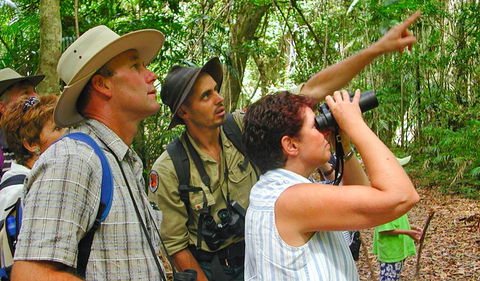Falls Walking Track - Surfers Paradise Gold Coast 0