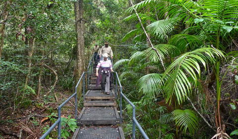 Falls Walking Track - Surfers Paradise Gold Coast 2