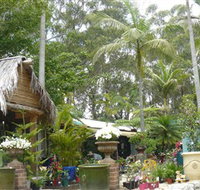 Diamond Waters Garden Nursery - Surfers Paradise Gold Coast
