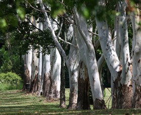 Teven Valley Golf Course - Surfers Paradise Gold Coast 1