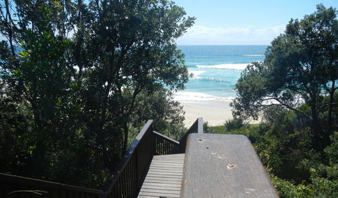 Jack Perkins Walking Track - Surfers Paradise Gold Coast 2