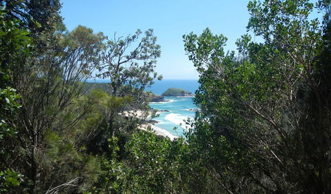 Jack Perkins Walking Track - Surfers Paradise Gold Coast 1