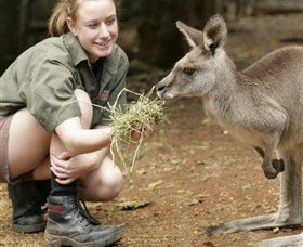 Macadamia Castle - Surfers Paradise Gold Coast 2