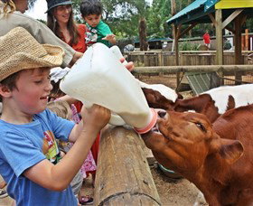 Macadamia Castle - Surfers Paradise Gold Coast 5