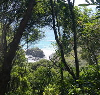 Rainforest walking track - Surfers Paradise Gold Coast