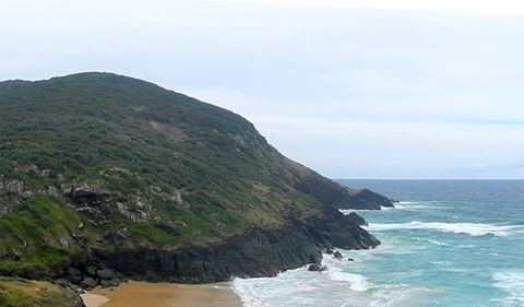 Korogoro Walking Track - Surfers Paradise Gold Coast 1