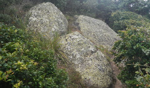 Korogoro Walking Track - Surfers Paradise Gold Coast 2