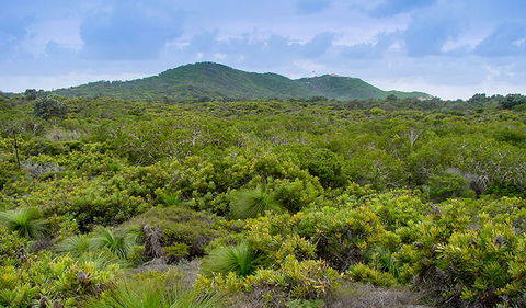 Arakwal National Park - Surfers Paradise Gold Coast 1