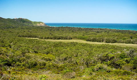 Arakwal National Park - Surfers Paradise Gold Coast 2