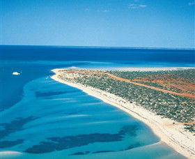 Monkey Mia WA Surfers Paradise Gold Coast