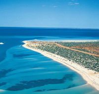 Monkey Mia - Surfers Paradise Gold Coast