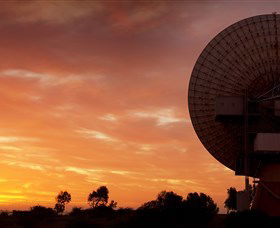 OTC Dish - Surfers Paradise Gold Coast 1