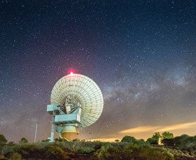 OTC Dish - Surfers Paradise Gold Coast 0