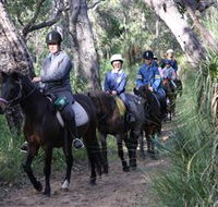 Mirravale Horse Riding School - Surfers Paradise Gold Coast