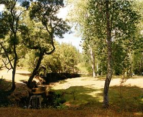 Oldina Picnic Area - Surfers Paradise Gold Coast 0