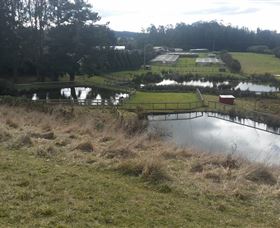 Guide Falls Farm - Surfers Paradise Gold Coast 0