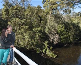 Hellyer Gorge - Surfers Paradise Gold Coast 0