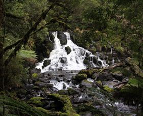 Hellyer Gorge - Surfers Paradise Gold Coast 2
