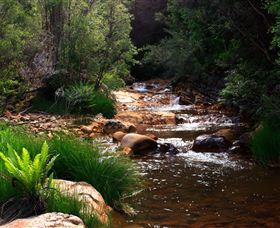 Hellyer Gorge - Surfers Paradise Gold Coast 1