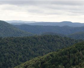 Whyte Hills Lookout - Surfers Paradise Gold Coast 1