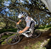 All Terrain Cycles - Surfers Paradise Gold Coast