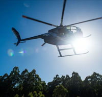 Tall Timbers Adventure Tours - Surfers Paradise Gold Coast