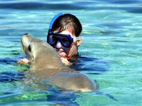 Gawler Ranges Wilderness Safaris - Surfers Paradise Gold Coast 2