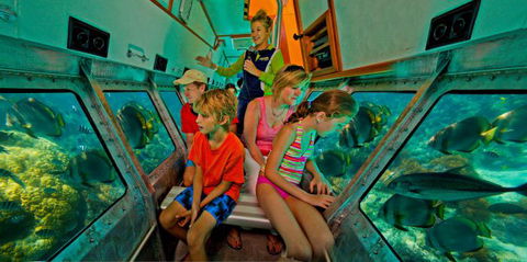 Big Cat Green Island Reef Cruises - Surfers Paradise Gold Coast 14