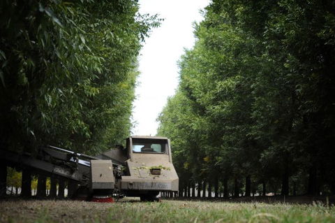 ODempseys Charters And Tours - Surfers Paradise Gold Coast 1