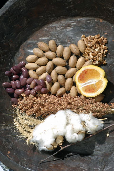 ODempseys Charters And Tours - Surfers Paradise Gold Coast 2