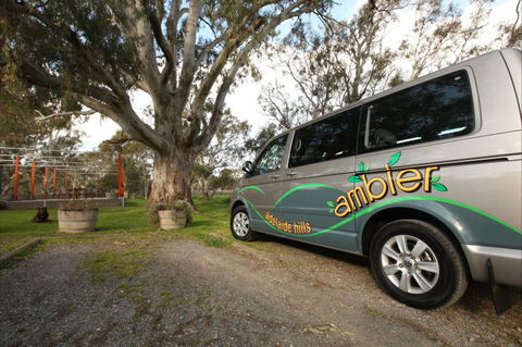 Ambler Touring - Surfers Paradise Gold Coast 3