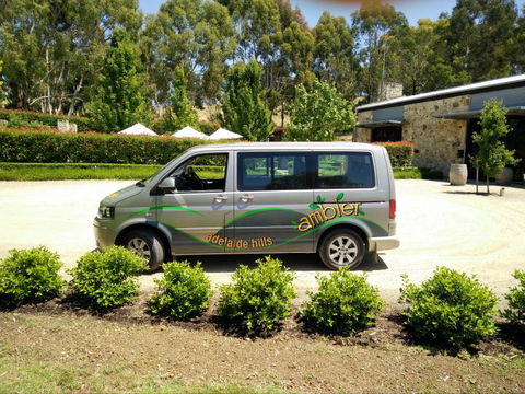 Ambler Touring - Surfers Paradise Gold Coast 10