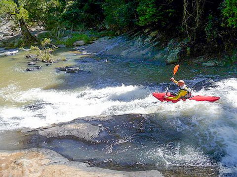 Kayaksnthings - Surfers Paradise Gold Coast 2