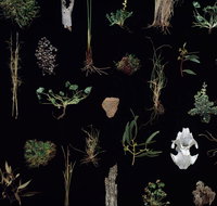 Weswal Gallery - Surfers Paradise Gold Coast